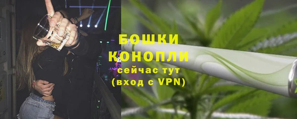 дмт Мегион