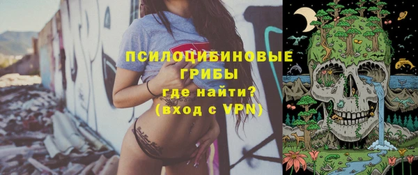 синтетический гашиш Медвежьегорск